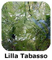 Lilla Tabasso